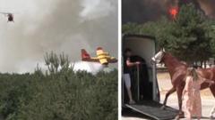 Horses Relocated Amidst Intense Wildfire Near Paris