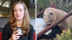 Viral Seal Neil Creates Frenzy in Tasmania